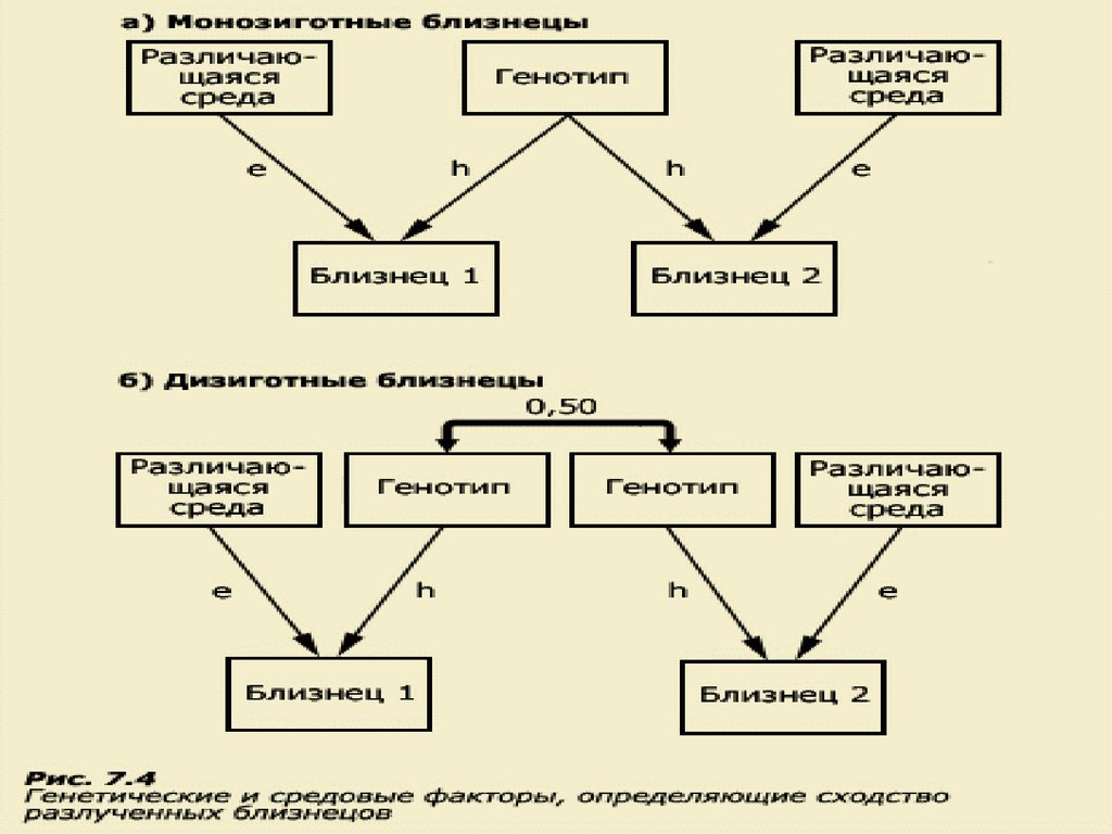 Психогенетика изучает. Методы психогенетики таблица. Психогенетические методы. Методы исследования в психогенетике. Основные методы психогенетики.