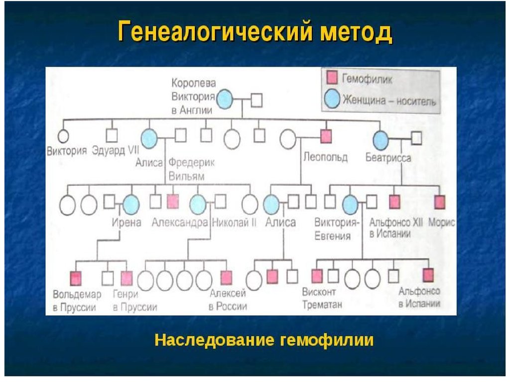 Генеалогический метод. Генеалогический метод наследование гемофилии. Родословная наследования гемофилии. Генеалогический метод родословная. Родословная в генетике.