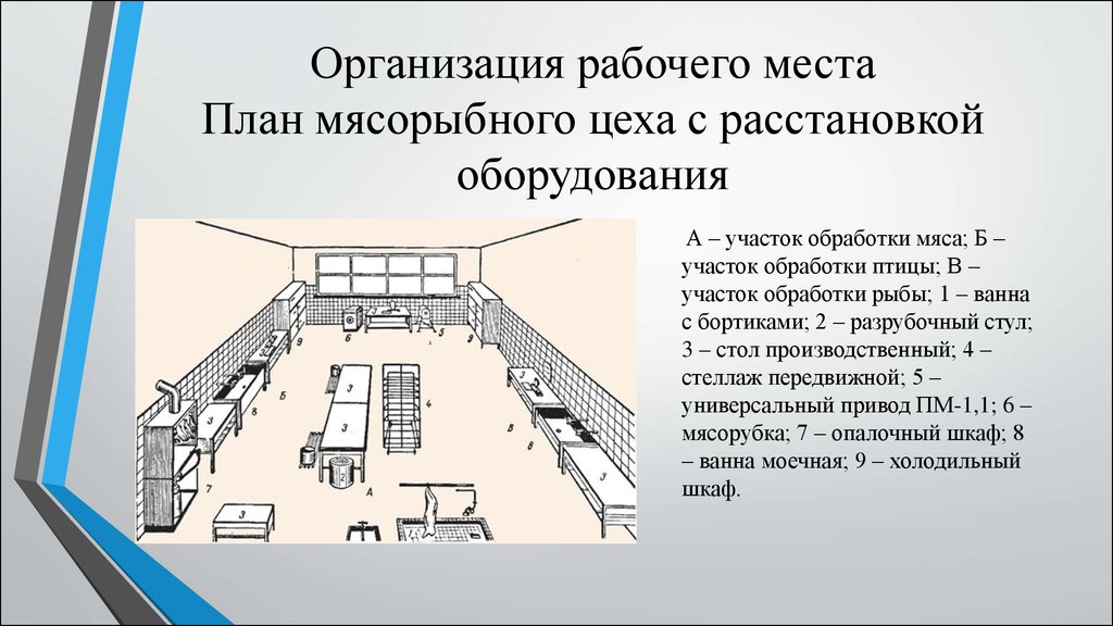 Схема мясо рыбного цеха с расстановкой оборудования и описанием