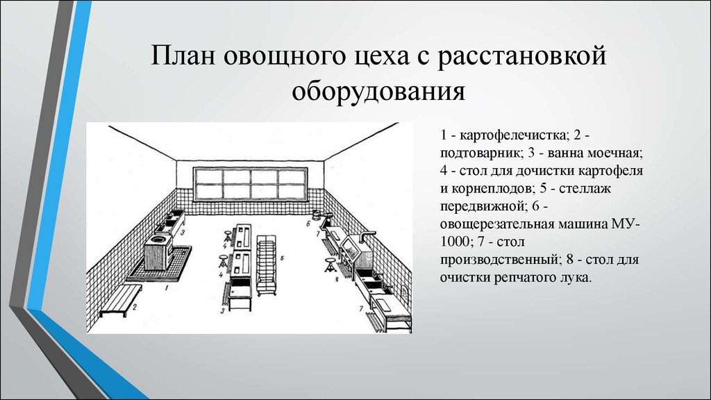 Анализ расстановки оборудования в овощном цехе предприятия схема