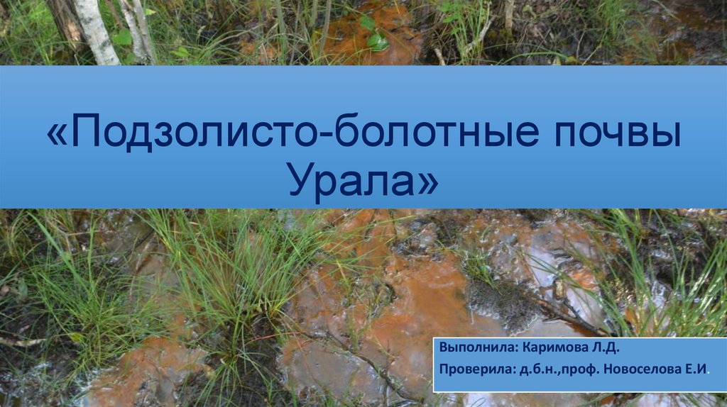 «Подзолисто-болотные почвы Урала»