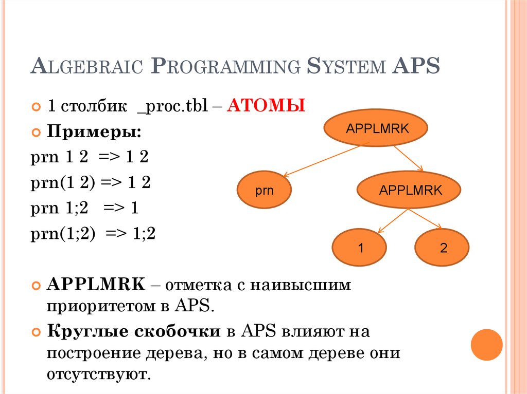 Algebraic Programming System APS
