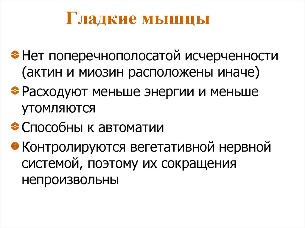 Гладкие мышцы