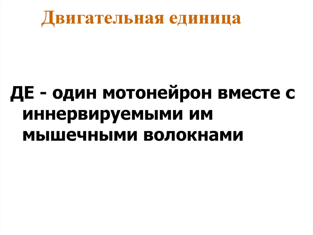 Двигательная единица
