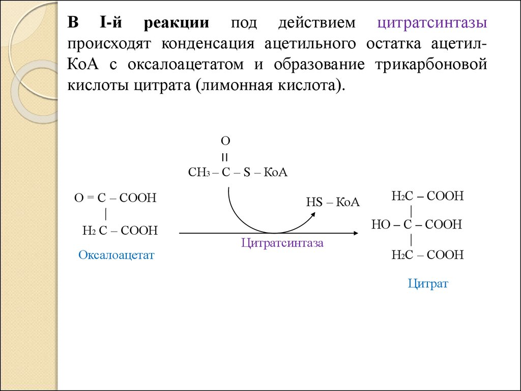 Напишите реакцию образования. Оксалоацетат ацетил-КОА цитрат. Синтез цитратсинтазы. Взаимодействие ацетил КОА С оксалоацетатом. Ацетил КОА оксалоацетат реакция.