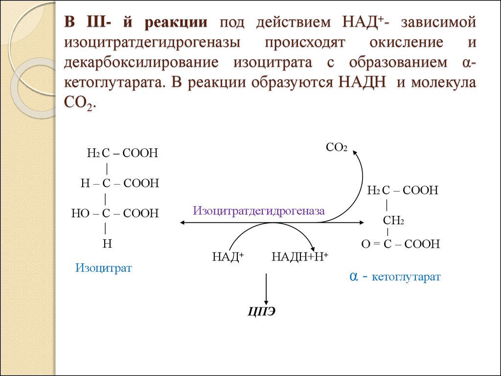 Первый искусственный синтез углеводов схема