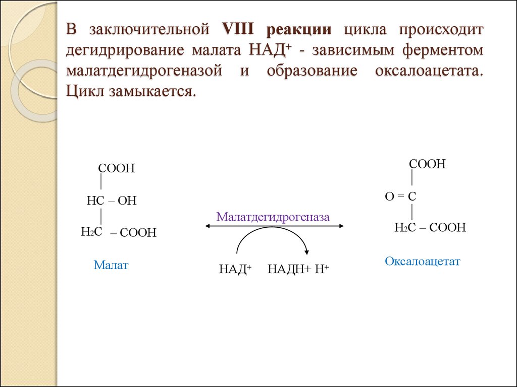 Над зависимые. Дегидрогеназы реакции. Дегидрирования м алата. Реакции с над. Над зависимая дегидрогеназа реакции.