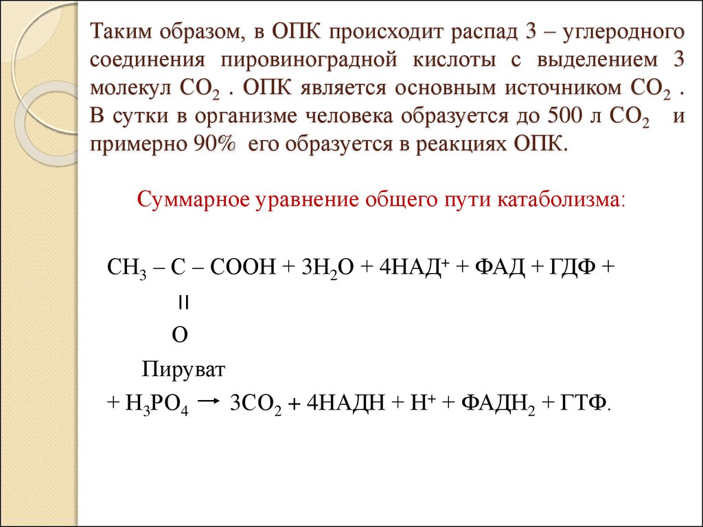 Схема опк биохимия