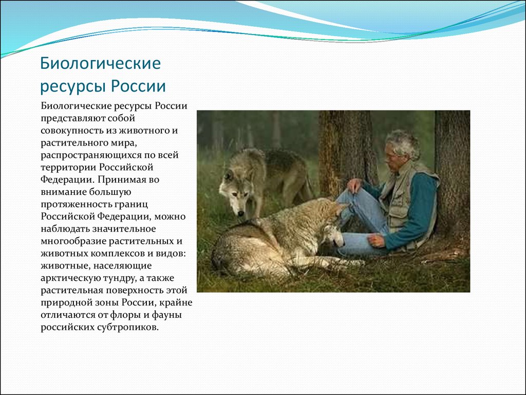 Чем могут гордиться жители вашей местности в плане охраны животного мира от чего стыдиться