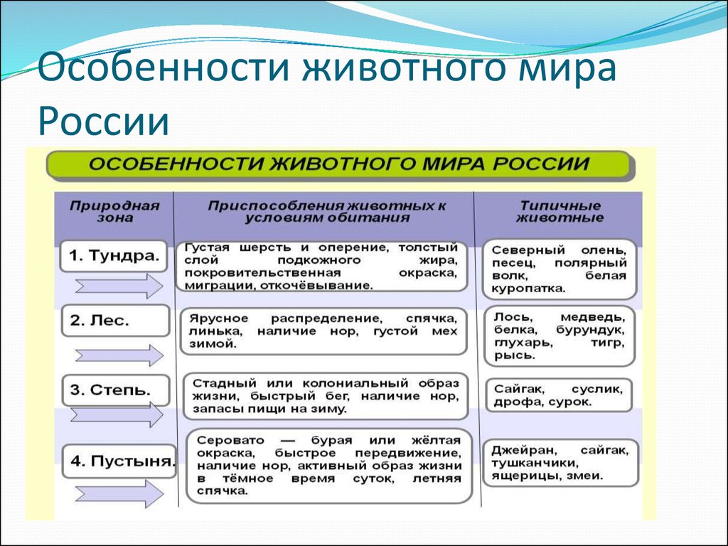 Особенность разнообразия россии. Растительный и животный мир России таблица 8.