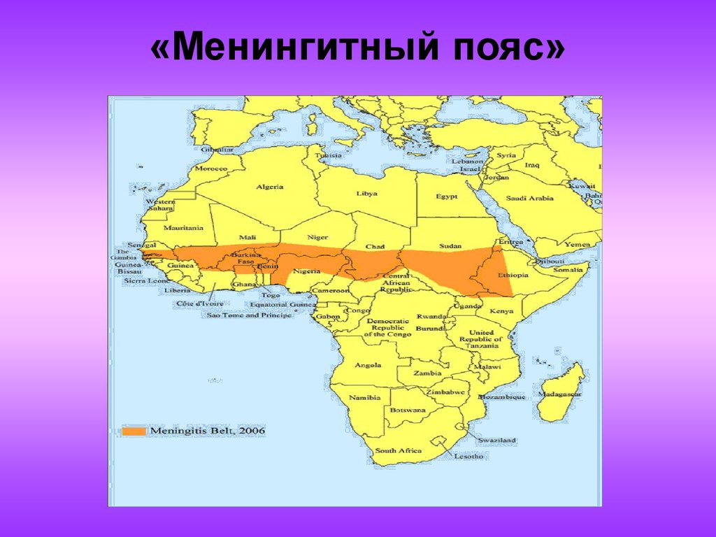 Страны медного пояса. Медный пояс Африки государства. Государства на территории медного пояса Африки. Менингитный пояс Африки. Медный пояс Африки на карте.