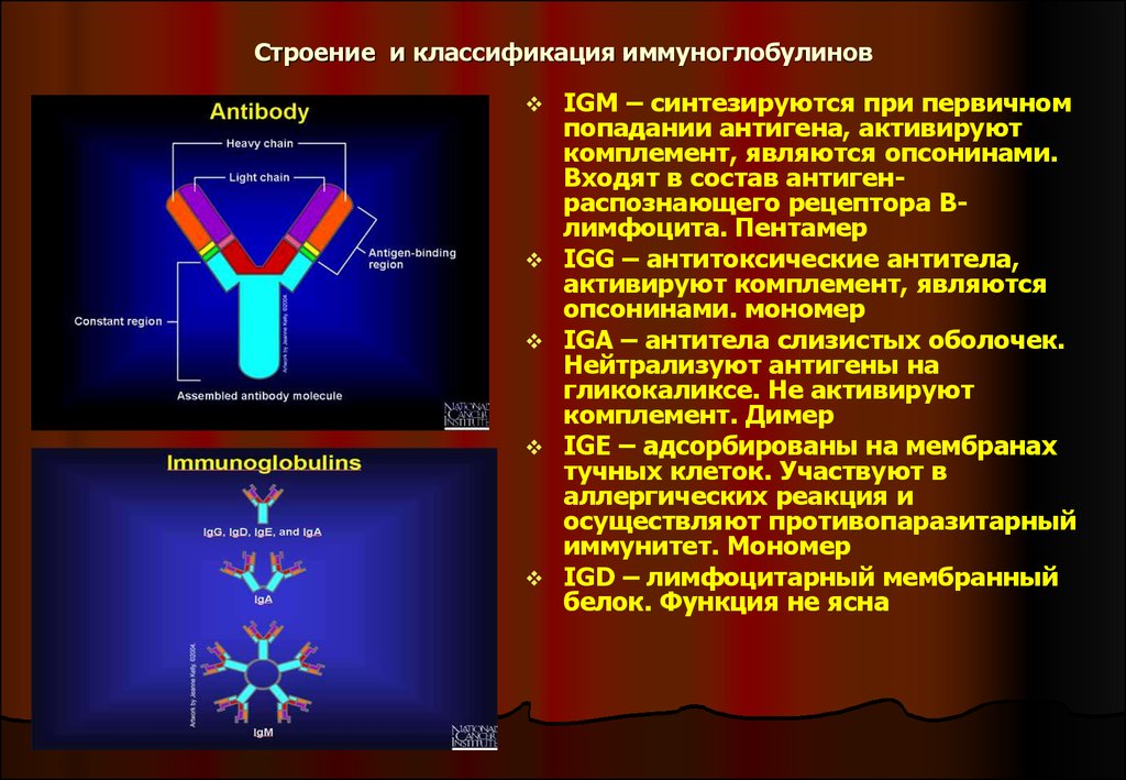 Антигены и антитела микробиология презентация