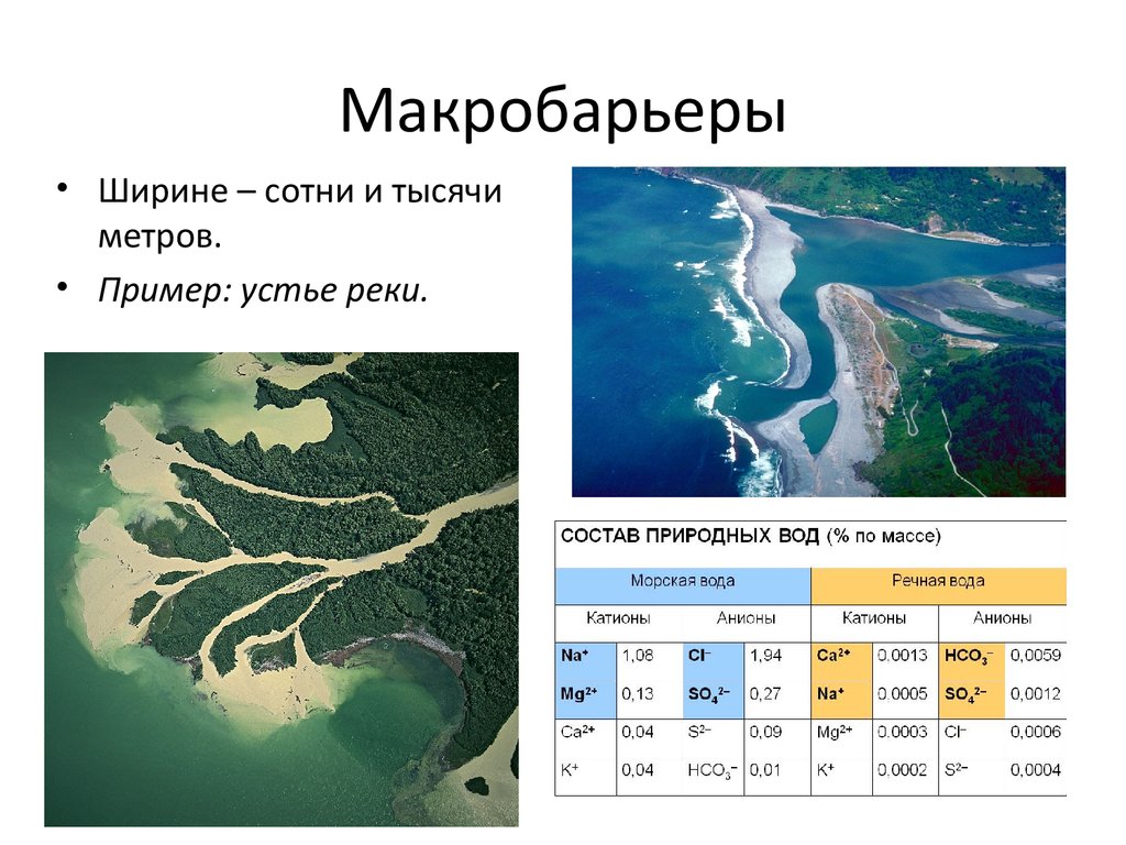 Координаты устья. Устье амазонки координаты. Устье реки это. Устье реки Амазонка координаты.