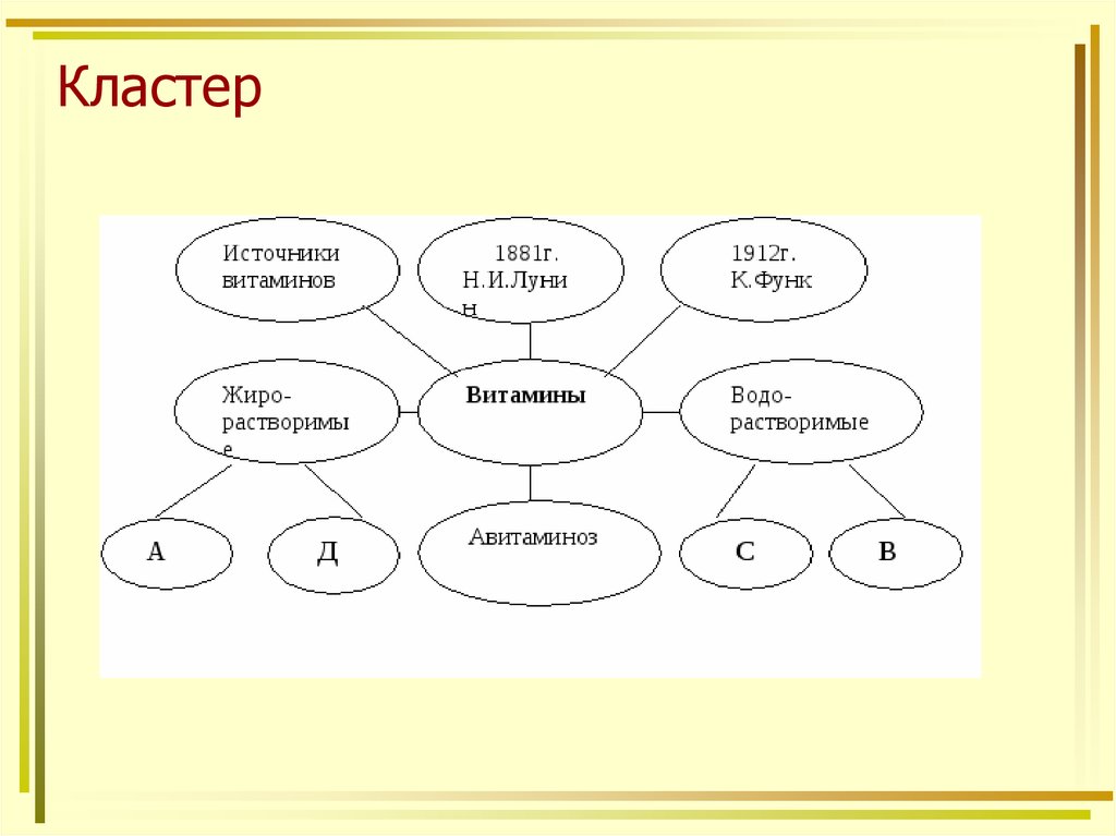 Кластером 5. Составление кластера на уроках биологии. Кластер витамины. Метод кластера на уроке биологии. Кластер на тему витамины.