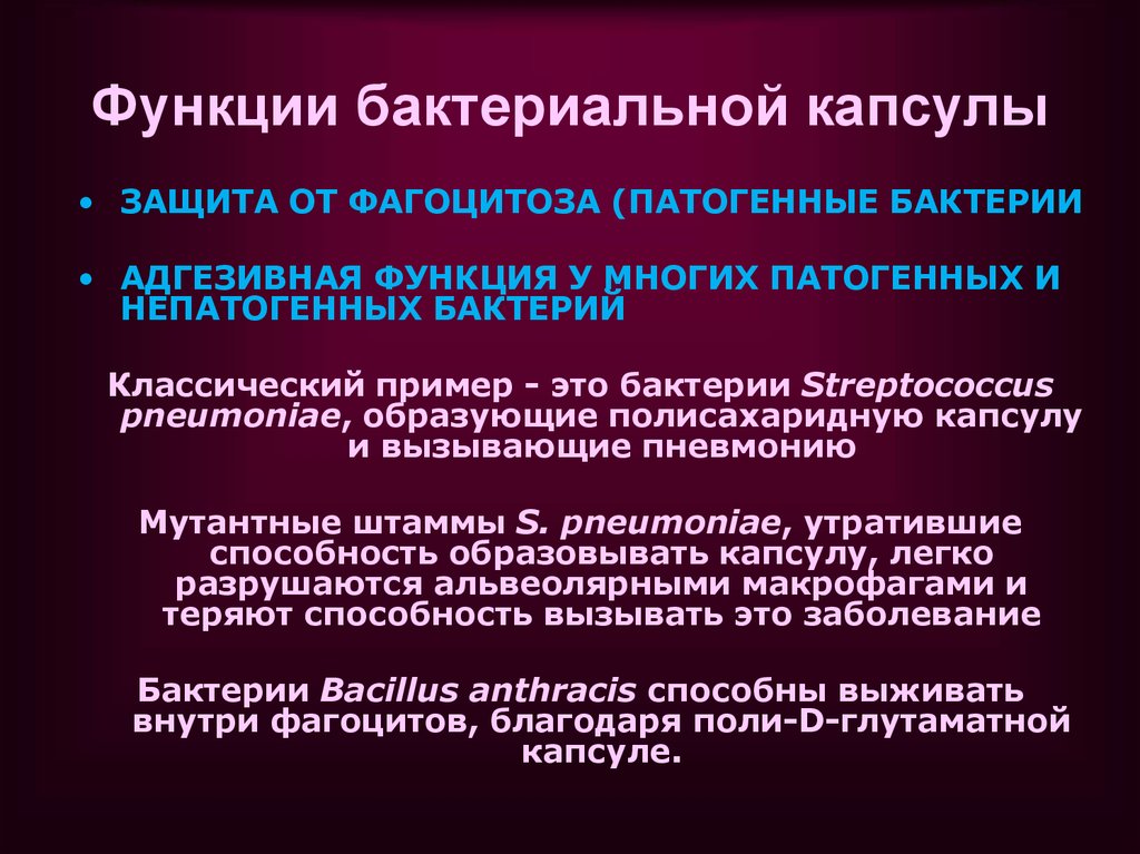 Какая функция бактерий. Функции бактериальных капсул. Функции капсулы бактерий. Функции капсул патогенных бактерий. Функции капсулы микроорганизмов.