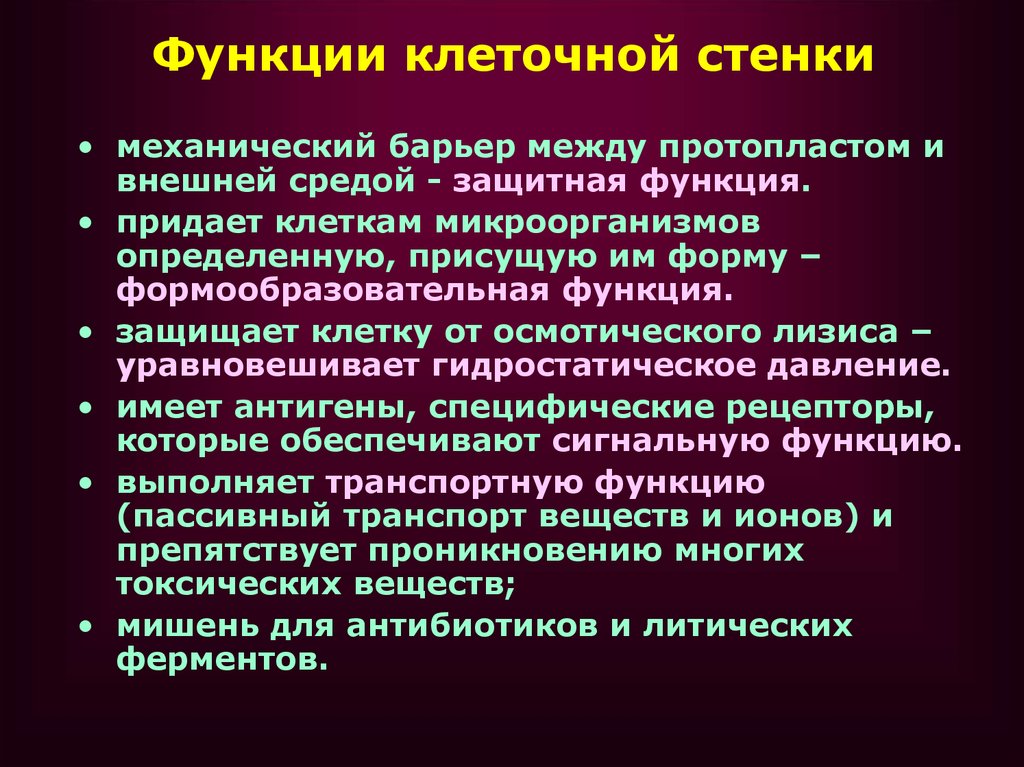 Защитная функция клетки. Функции клеточной стенки. Стенка клетки функции. Каковы функции клеточной стенки. Клеточная стенка функции кратко.