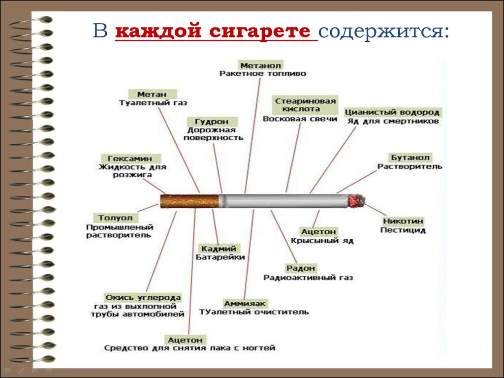 Фото из чего состоит сигарета