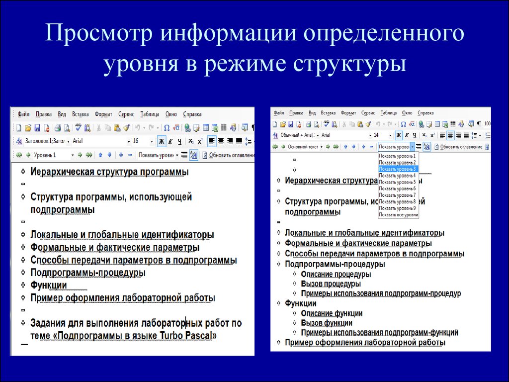 Русский язык описание программы. Описание функций программы. Заголовок программы описание процедуры. Основная программа элемент программы. Определяет уровень текста в документе.