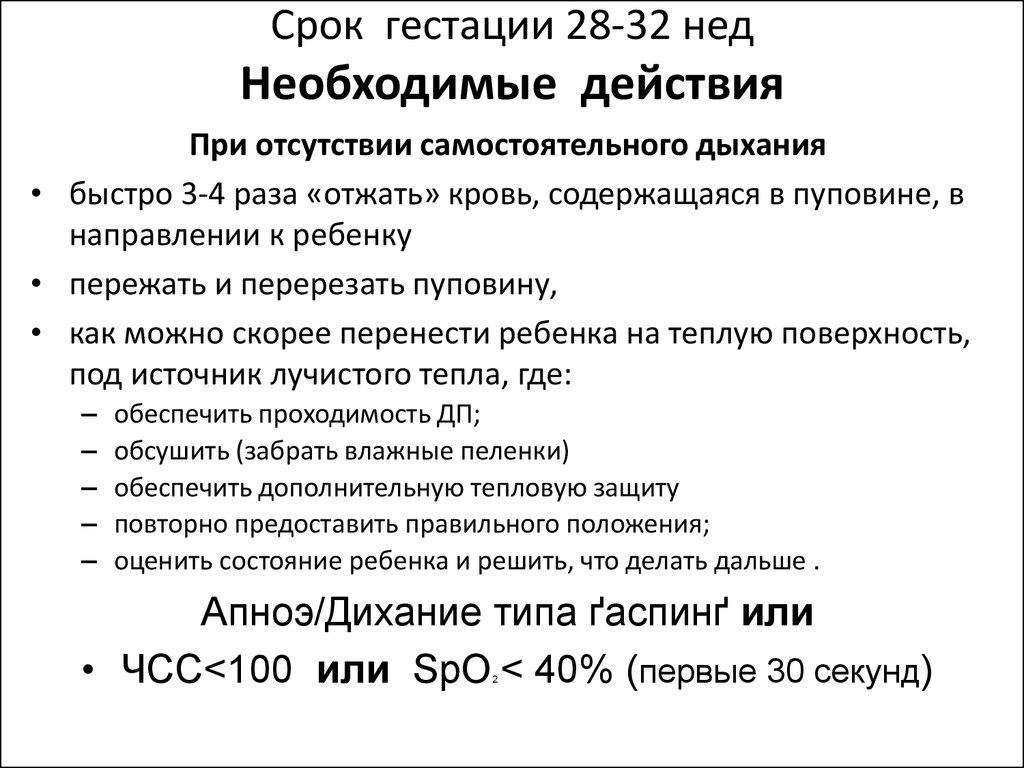 Первые недели гестации