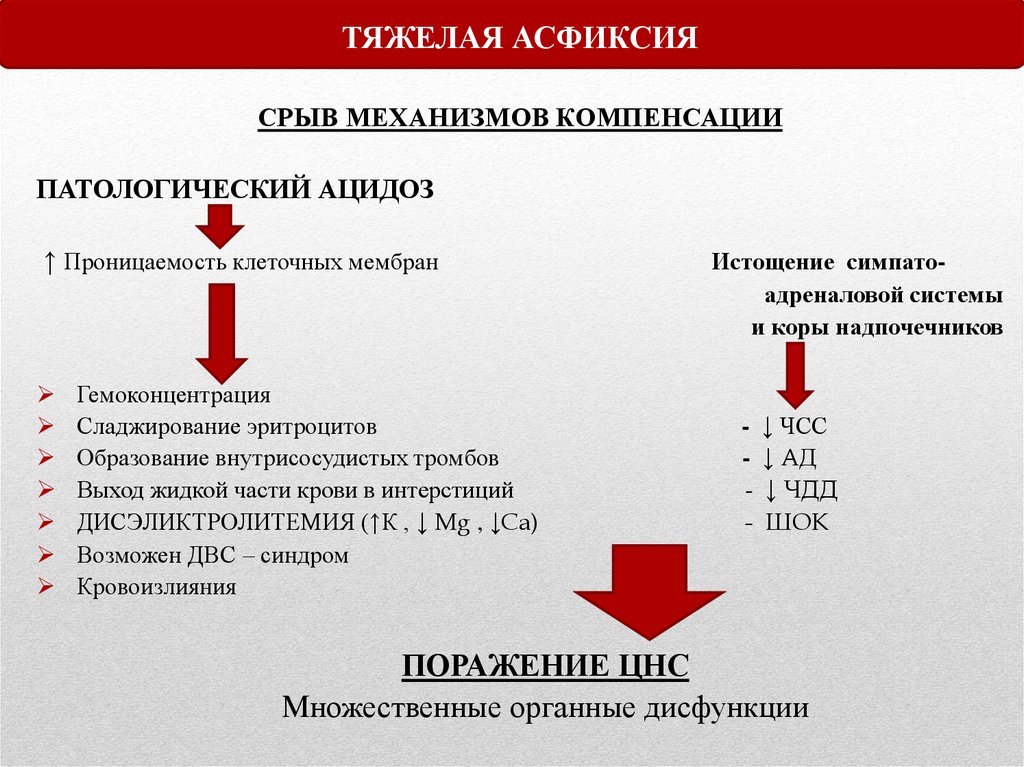 Синдромы асфиксии