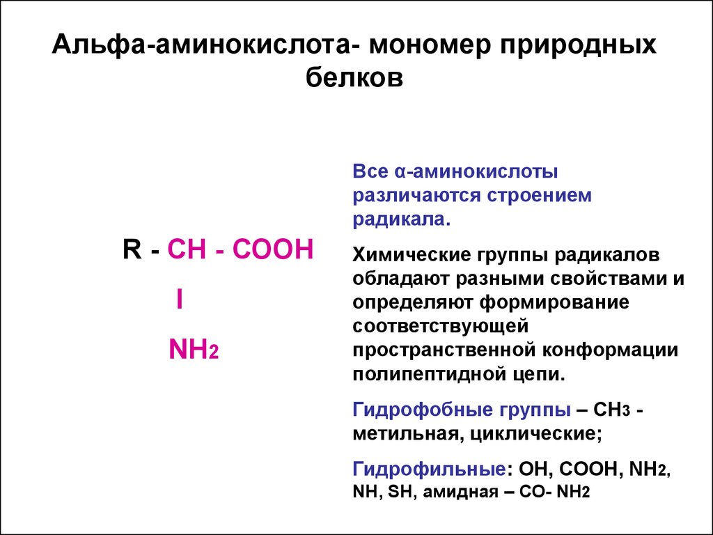 Состав природных белков. Строение Альфа аминокислот. Общая структура Альфа аминокислот. Классификация аминокислот Альфа бета гамма. Общая структура α-аминокислот.