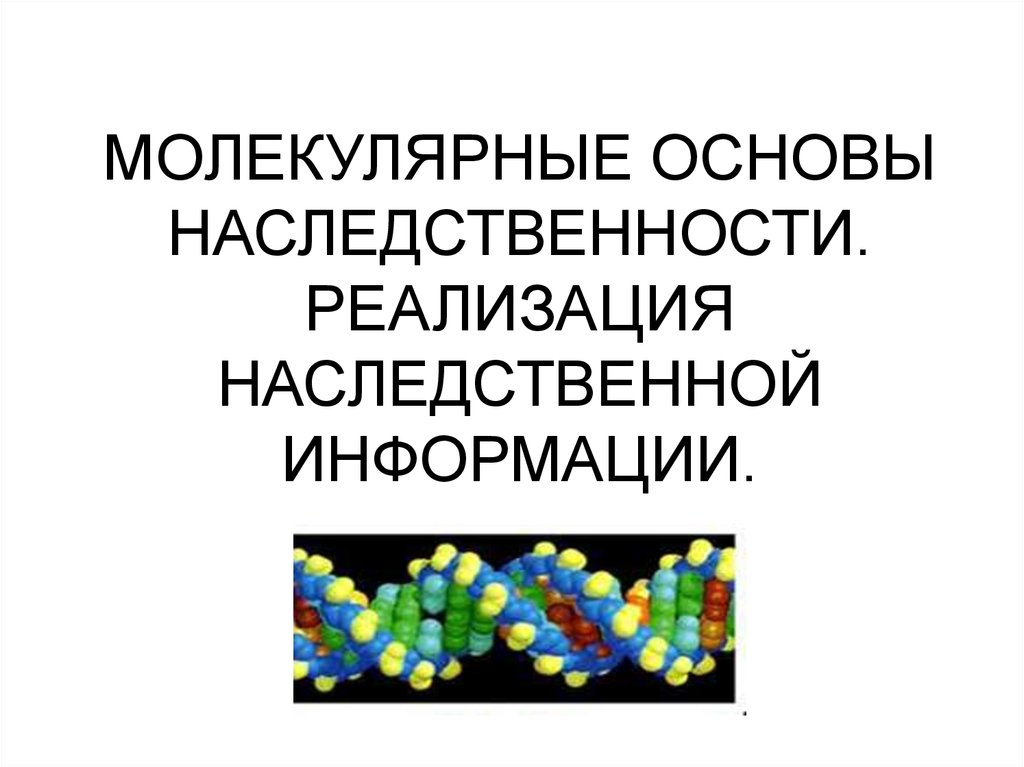 Молекулярна основа. Молекулярные основы наследственности. Клеточные и молекулярные основы наследственности. Молекулярные основы наследственности человека. Молекулярные носители наследственности.