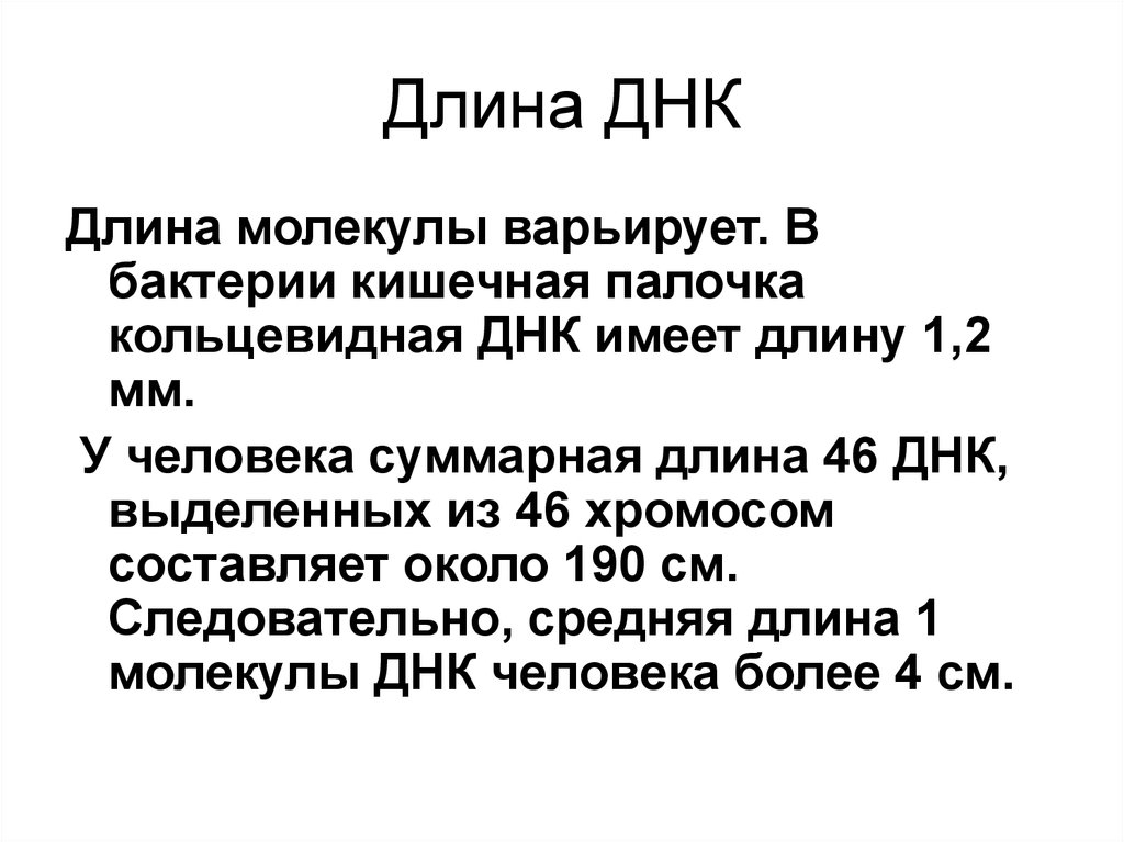 Масса 1 днк. Длина молекулы ДНК. Размер молекулы ДНК. Диаметр молекулы ДНК. Размеры молекулы ДНК У человека.