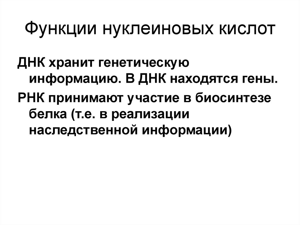 Функция хранения наследственной информации. Роль белка в реализации генетической информации. Хранящей генетическую информацию. Функция ДНК хранит генетическую информацию. Условия хранения ДНК.