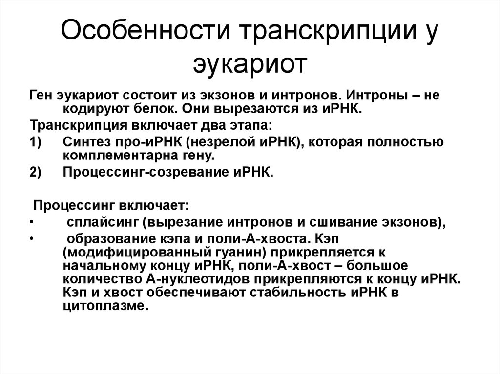 Геном особенности генома эукариот. Каковы особенности процесса транскрипции у эукариот. Процесс транскрипции у эукариот. Этапы транскрипции у эукариот. Характеристика транскрипция прокариот и эукариот.