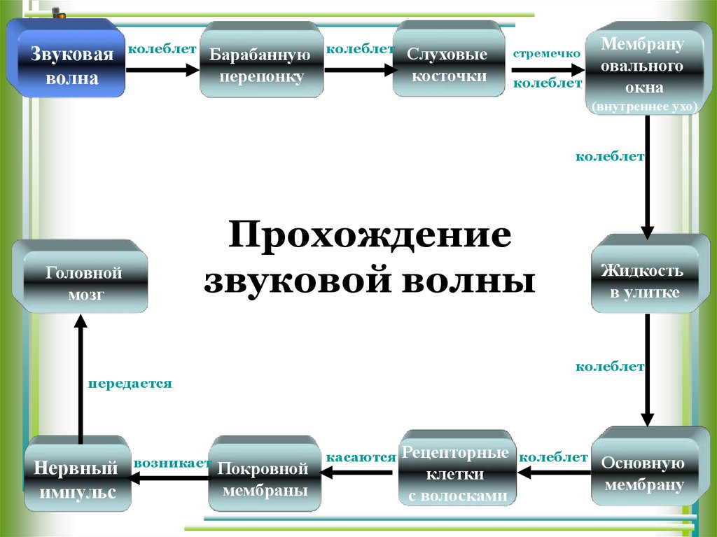 Проход звуковой волны