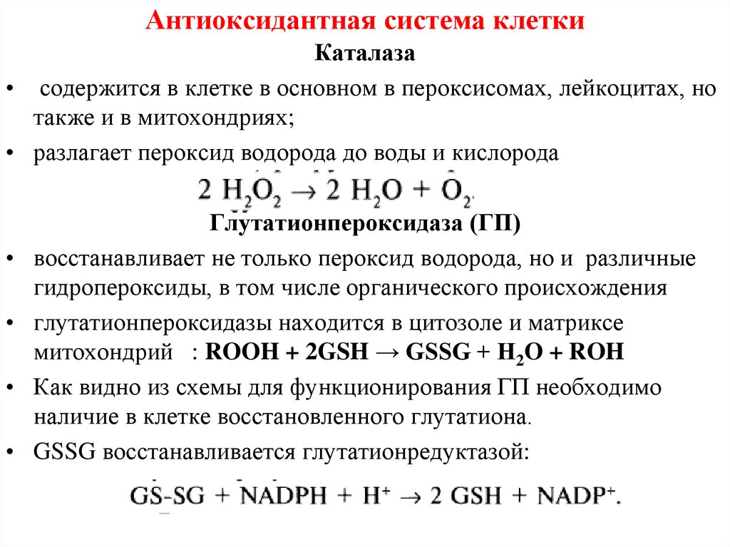 Антиоксидантные ферменты