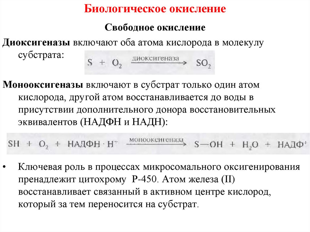 Биологическое окисление