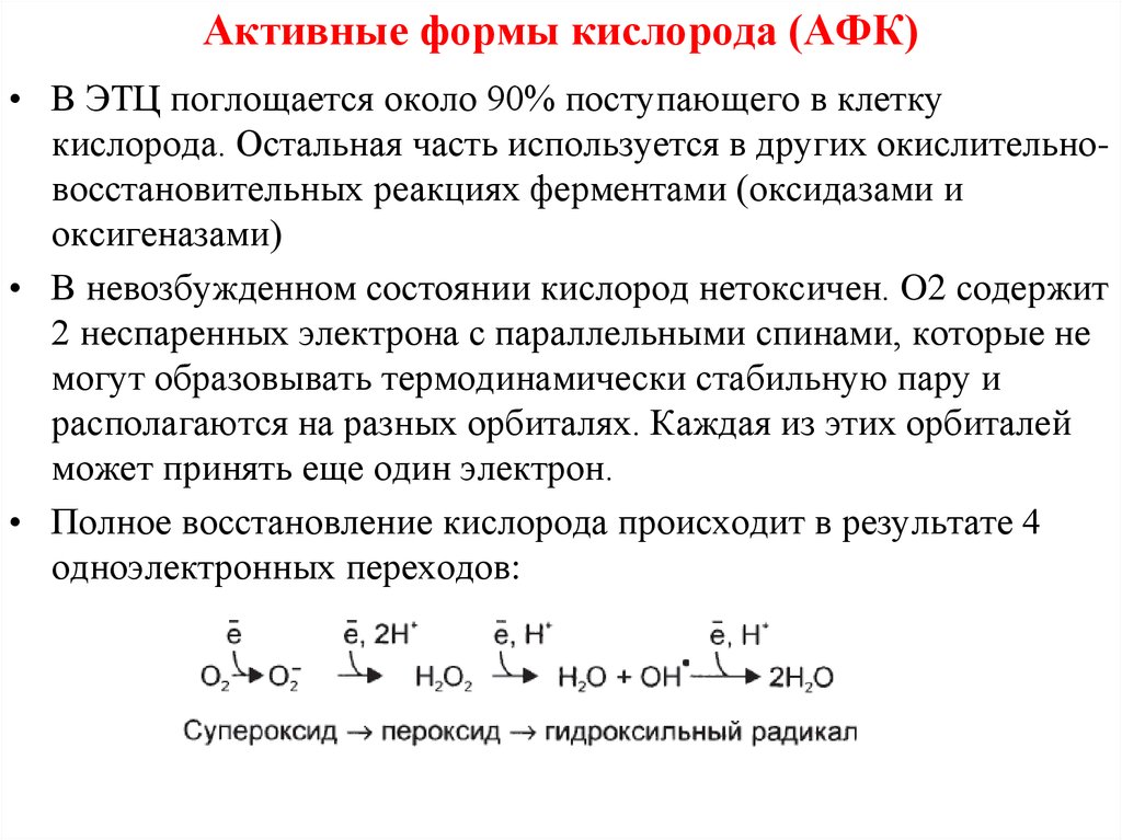 Форма кислорода. Образование активных форм кислорода ферменты. Активные формы кислорода биохимия. Биологическая роль активных форм кислорода. Активные формы кислорода АФК.