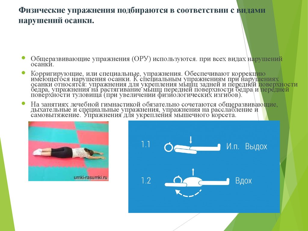 Физическая реабилитация при сколиозе презентация