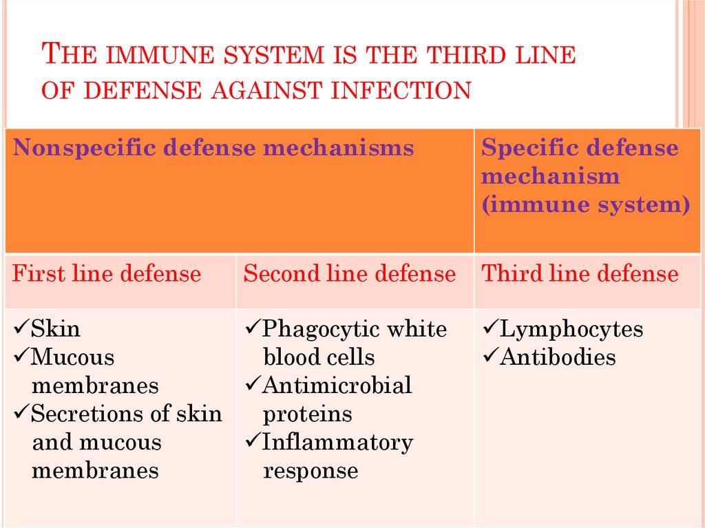 The immune system is the third line of defense against infection