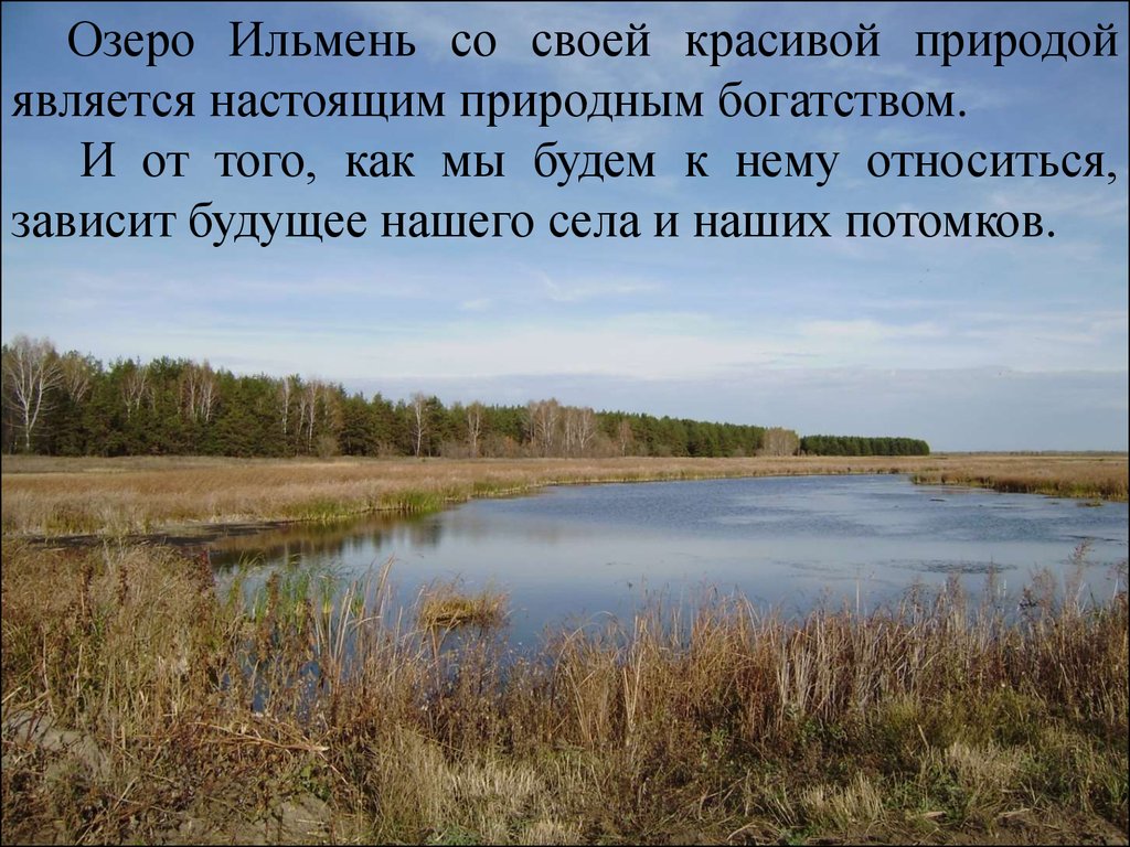 Окружающий мир озеро. Озеро Ильмень презентация. Озеро Ильмень сообщение. Озеро Ильмень описание. Ильмень растительный мир.