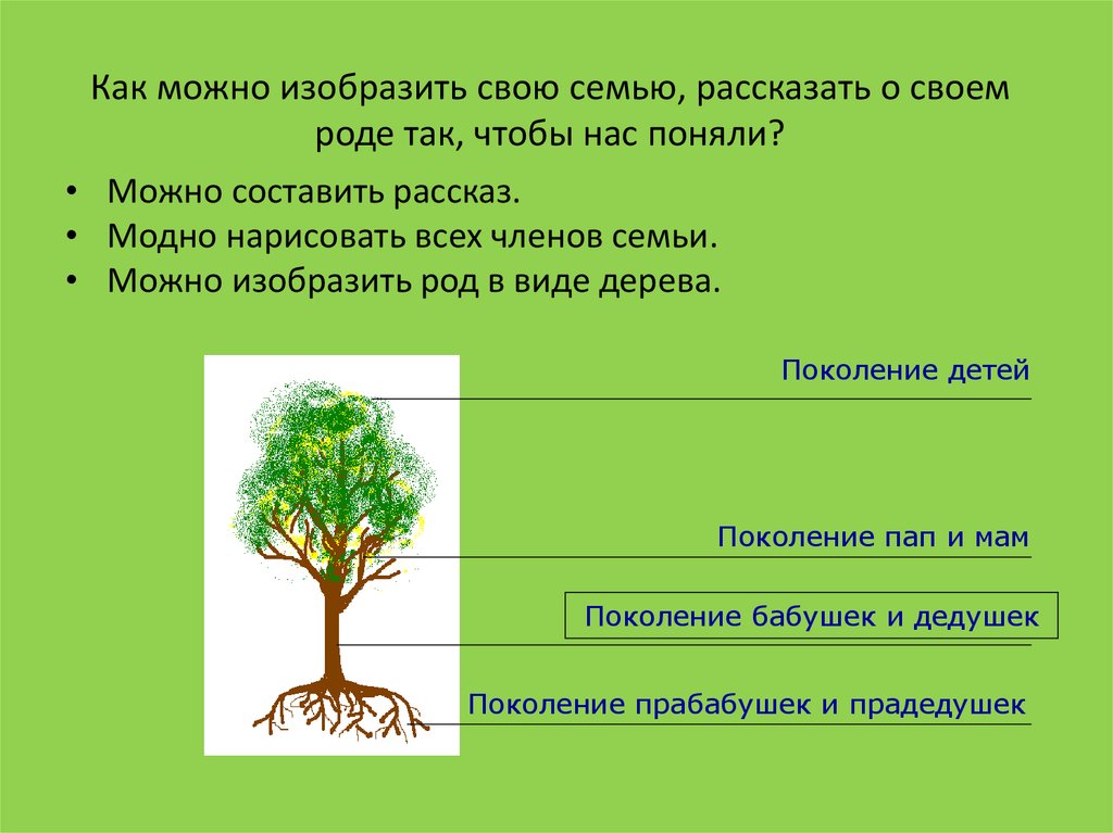 Состав семьи родственные отношения сбо 6 класс презентация