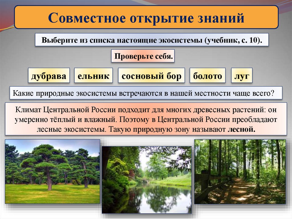 Для природных экосистем характерно. Природные экосистемы. Биогеоценоз Сосновый лес. Экосистемы перечень. Экосистема Дубравы.