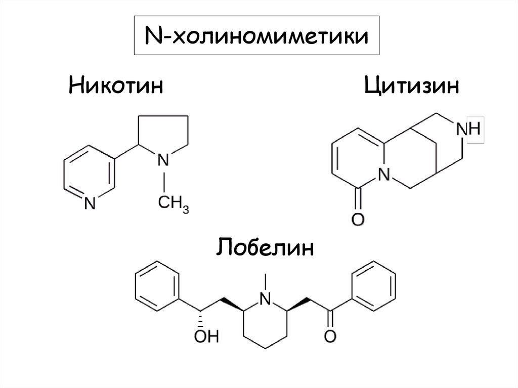 Цититон лобелин. Цитизин формула структурная. Алкалоид цитизин. Цититон цитизин. Никотин лобелин цитизин.