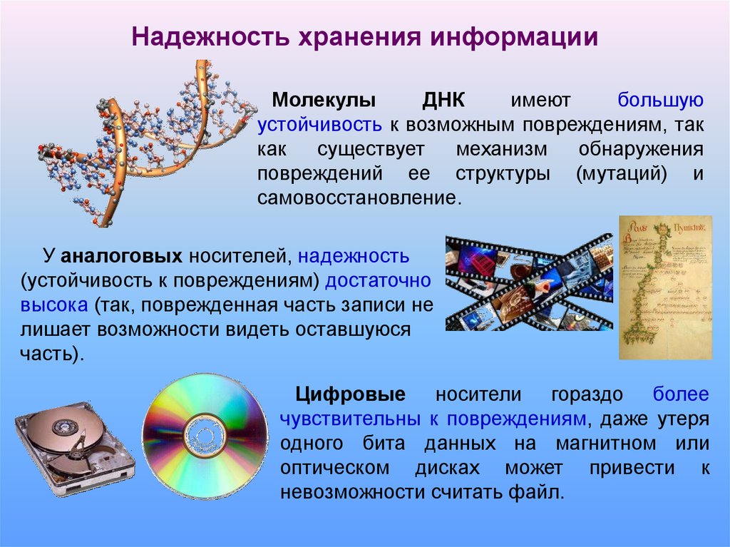 Файл как единица хранения информации презентация