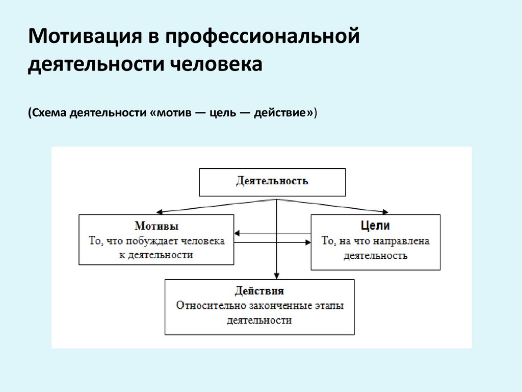 Виды деятельности и их цели