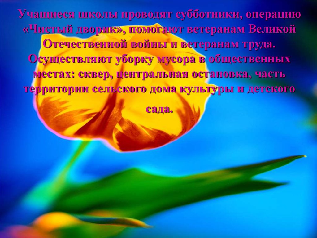 Учащиеся школы проводят субботники, операцию «Чистый дворик», помогают ветеранам Великой Отечественной войны и ветеранам труда. Осуществ