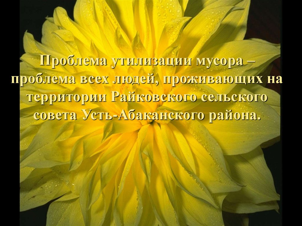 Проблема утилизации мусора – проблема всех людей, проживающих на территории Райковского сельского совета Усть-Абаканского района.