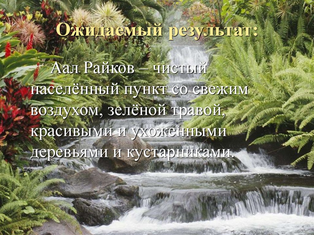 Ожидаемый результат: