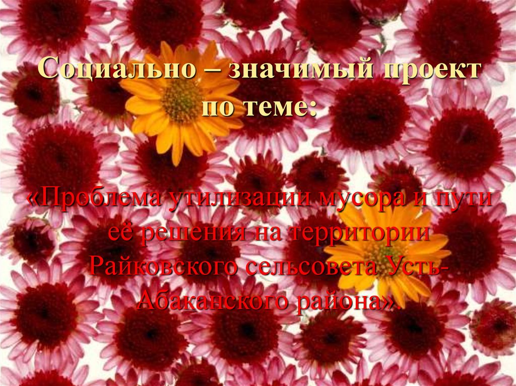 Социально – значимый проект по теме: