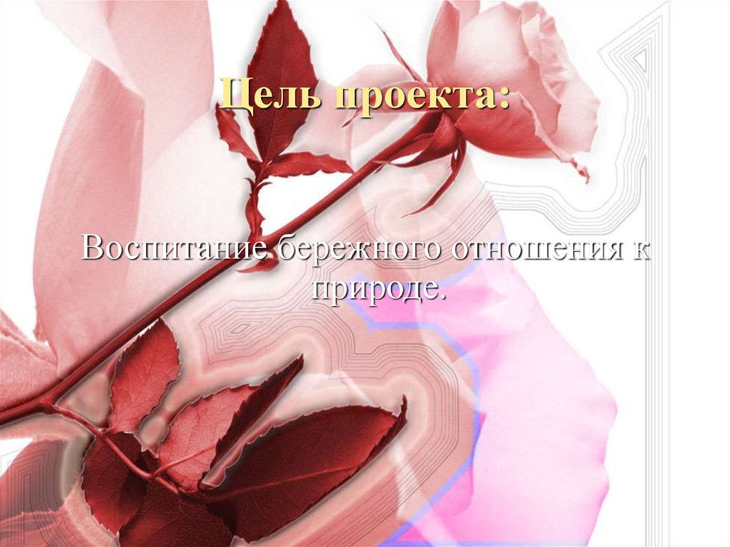 Цель проекта: