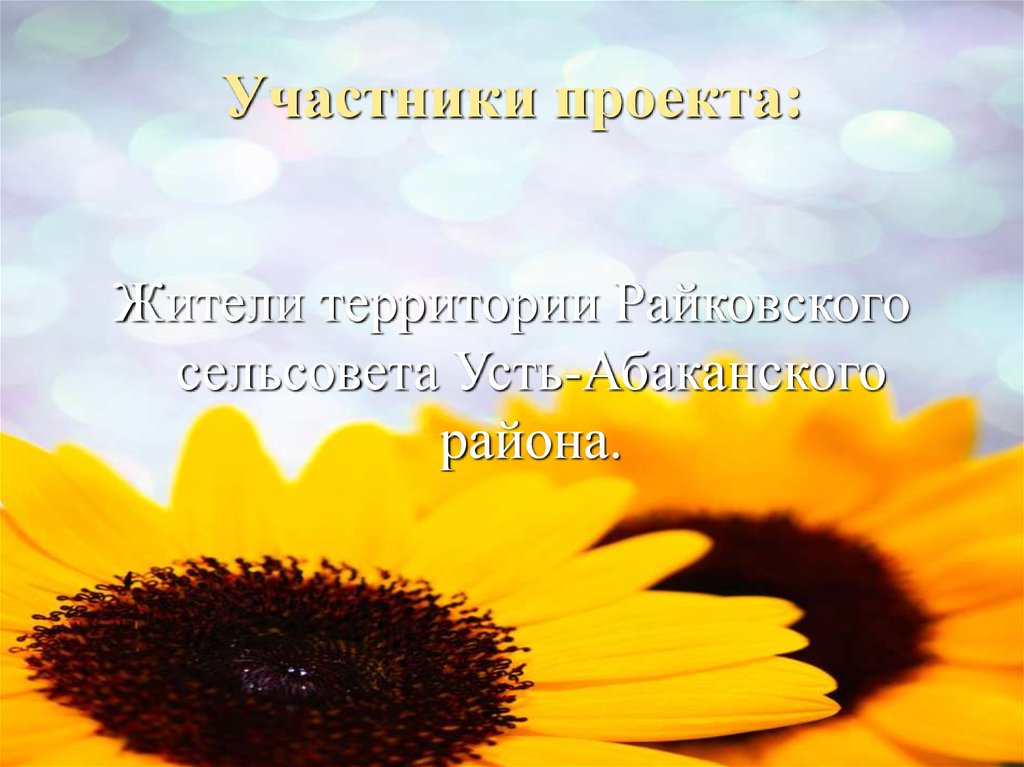 Участники проекта: