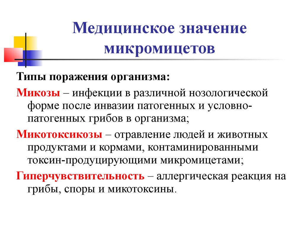 Значение медицины. Медицинское значение. Болезнь, которую вызывают микромицеты. Охарактеризовать медицинское значение.