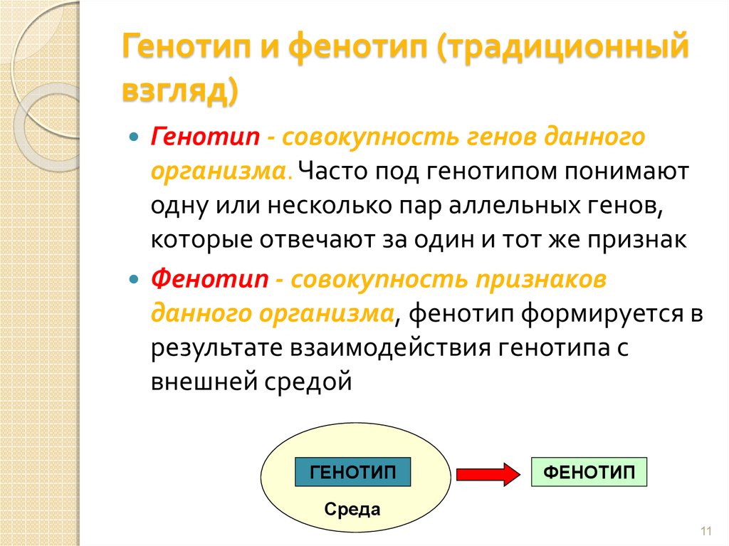 Фенотип признак ген. Генотип и фенотип. Генотип пример. Генотип и фенотип примеры. Понятие генотип.