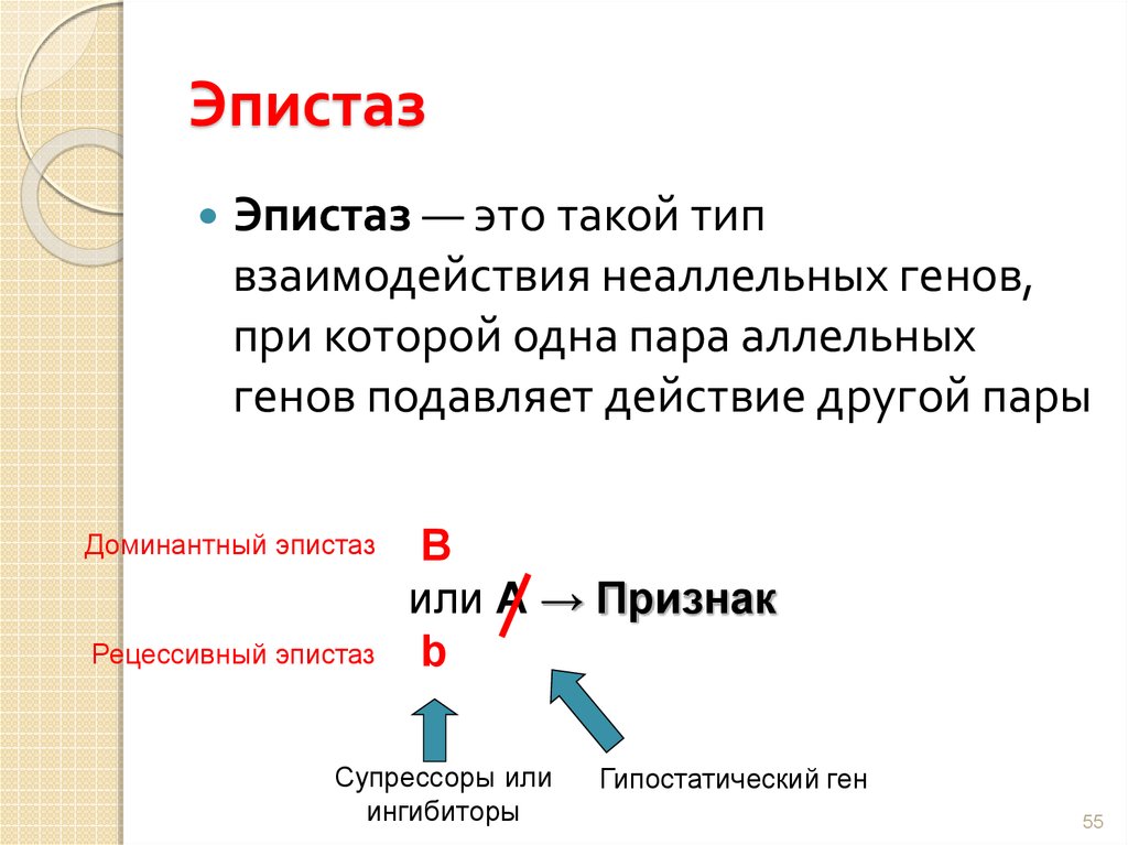 Что такое ген и фен ввел в науку